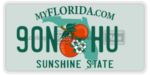 90NHU  license plate in FL