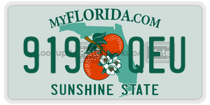 919QEU  license plate in FL