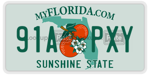 91APXY  license plate in FL