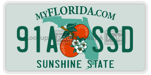 91ASSD  license plate in FL