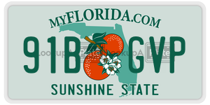 91BGVP  license plate in FL