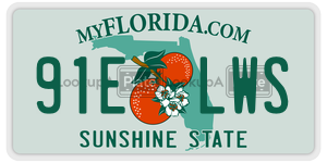 91ELWS license plate in Florida