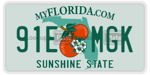 91EMGK  license plate in FL