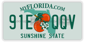 91EQQV  license plate in FL