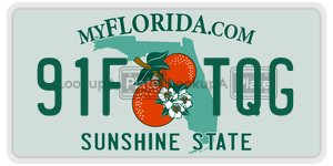 91FTQG  license plate in FL