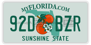 92DBZR license plate in Florida
