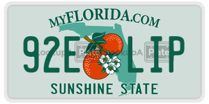 92ELIP license plate in Florida