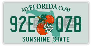92EQZB license plate in Florida