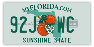92JWC  license plate in FL