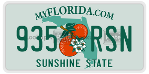935RSN  license plate in FL