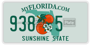 9385  license plate in FL