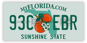 93CEBR  license plate in FL