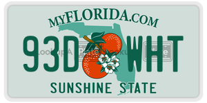 93DWHT license plate in Florida