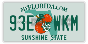 93EWKM license plate in Florida