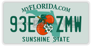 93EZMW  license plate in FL