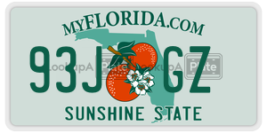 93JGZ  license plate in FL