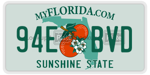 94EBVD  license plate in FL