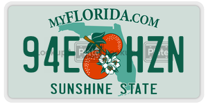 94EHZN license plate in Florida
