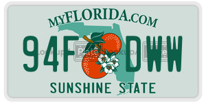 94FDWW  license plate in FL
