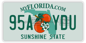 95AYDU  license plate in FL