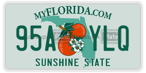 95AYLQ  license plate in FL
