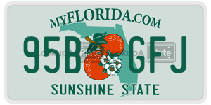 95BGFJ license plate in Florida