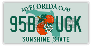 95BUGK license plate in Florida
