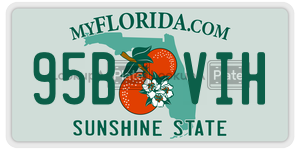 95BVIH license plate in Florida
