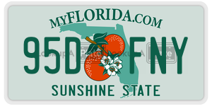 95DFNY  license plate in FL