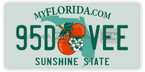 95DVEE  license plate in FL