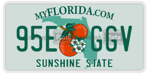 95EGGV license plate in Florida