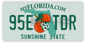 95ETDR  license plate in FL