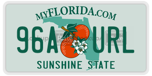 96AURL  license plate in FL
