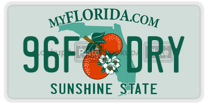 96FDRY  license plate in FL