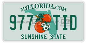 977TID  license plate in FL