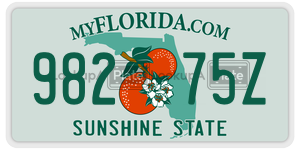 98275Z  license plate in FL
