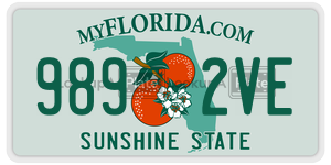 9892VE  license plate in FL