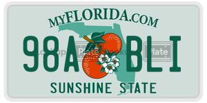 98ABLI license plate in Florida
