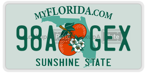 98AGEX  license plate in FL
