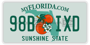 98BIXD license plate in Florida