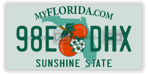 98EDHX license plate in Florida