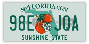 98EJQA  license plate in FL