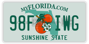 98FIWG  license plate in FL