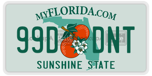99DDNT license plate in Florida