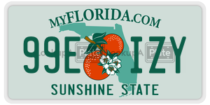 99EIZY license plate in Florida