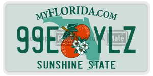 99EYLZ  license plate in FL