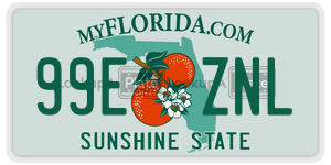 99EZNL  license plate in FL