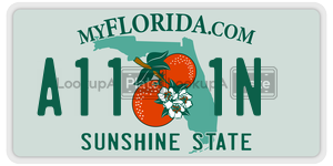 A111N license plate in Florida