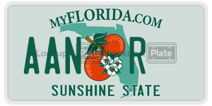 AANR license plate in Florida
