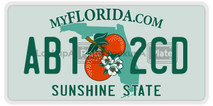 AB12CD license plate in Florida